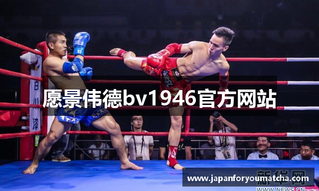 愿景伟德bv1946官方网站